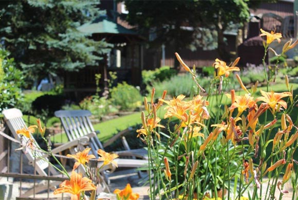 Garten - Haus Karola Bad Schandau