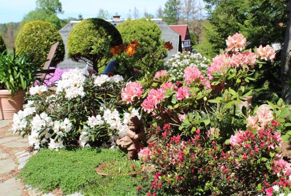 Garten - Haus Karola Bad Schandau