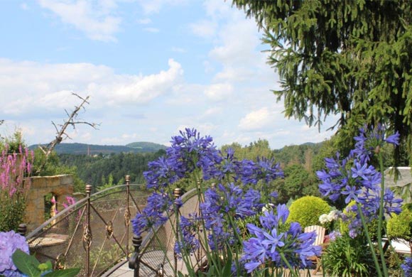 Garten - Haus Karola Bad Schandau