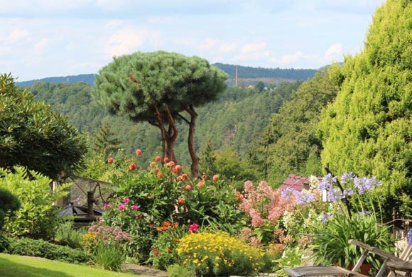 Garten - Haus Karola Bad Schandau