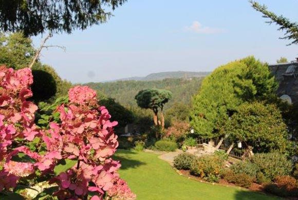 Garten - Haus Karola Bad Schandau